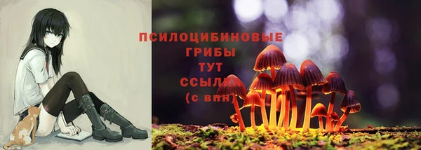 прущая мука Армянск