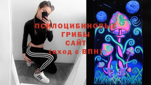 прущая мука Армянск